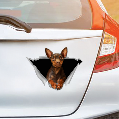 Nous aimons rouler en voiture - Autocollant Pinscher miniature pour voiture/porte/réfrigérateur/ordinateur portable V3