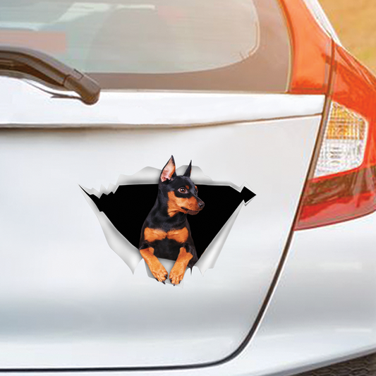 We Like Riding In Cars - Miniature Pinscher Car/ Door/ Fridge/ Laptop Sticker V1