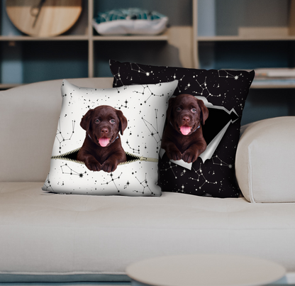 They Steal Your Couch - Labrador Pillow Cases V1 (Set of 2)