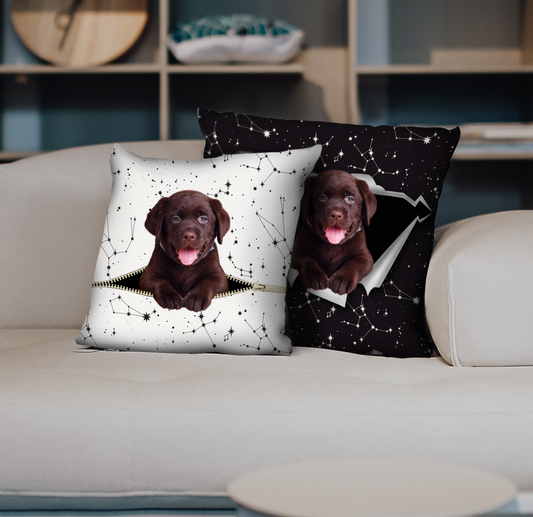 Sie stehlen Ihre Couch – Labrador-Kissenbezüge V1 (2er-Set)