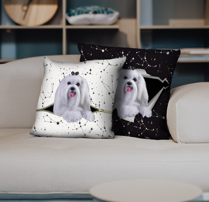 They Steal Your Couch - Maltese Pillow Cases V2 (Set of 2)