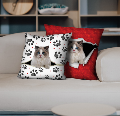 They Steal Your Couch - Ragdoll Cat Pillow Cases V1 (Set of 2)
