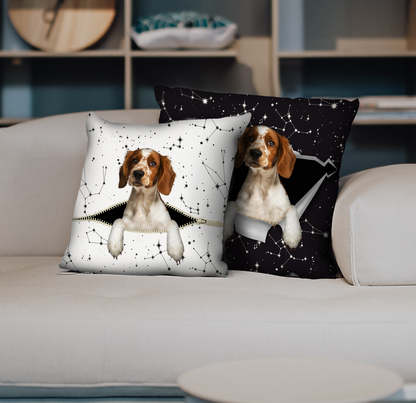 They Steal Your Couch - Welsh Springer Spaniel Pillow Cases V1 (Set of 2)