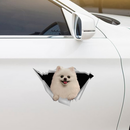 We Like Riding In Cars – Pomeranian Auto-/Tür-/Kühlschrank-/Laptop-Aufkleber V1