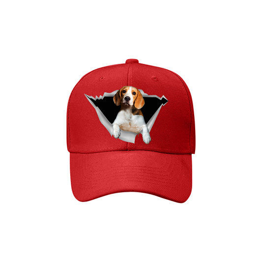 Fan Club Beagle - Chapeau V2