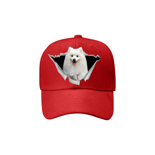 Fan Club des Spitz Japonais - Chapeau V2