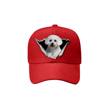 Maltese Fan Club - Hat V1