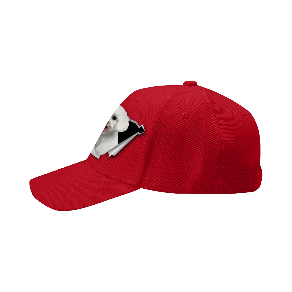 Maltese Fan Club - Hat V1