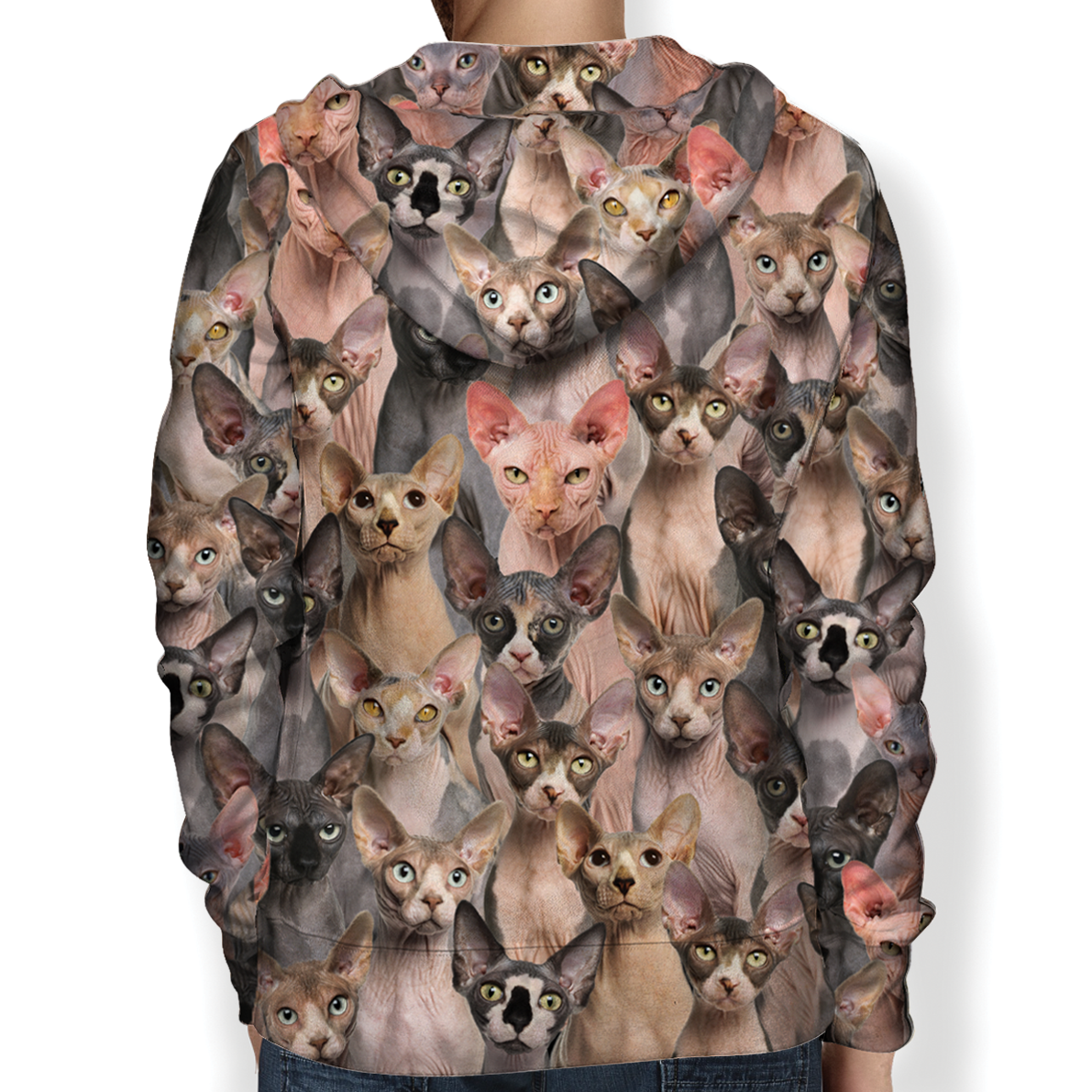 You Will Have A Bunch Of Sphynx Cats - Hoodie V1