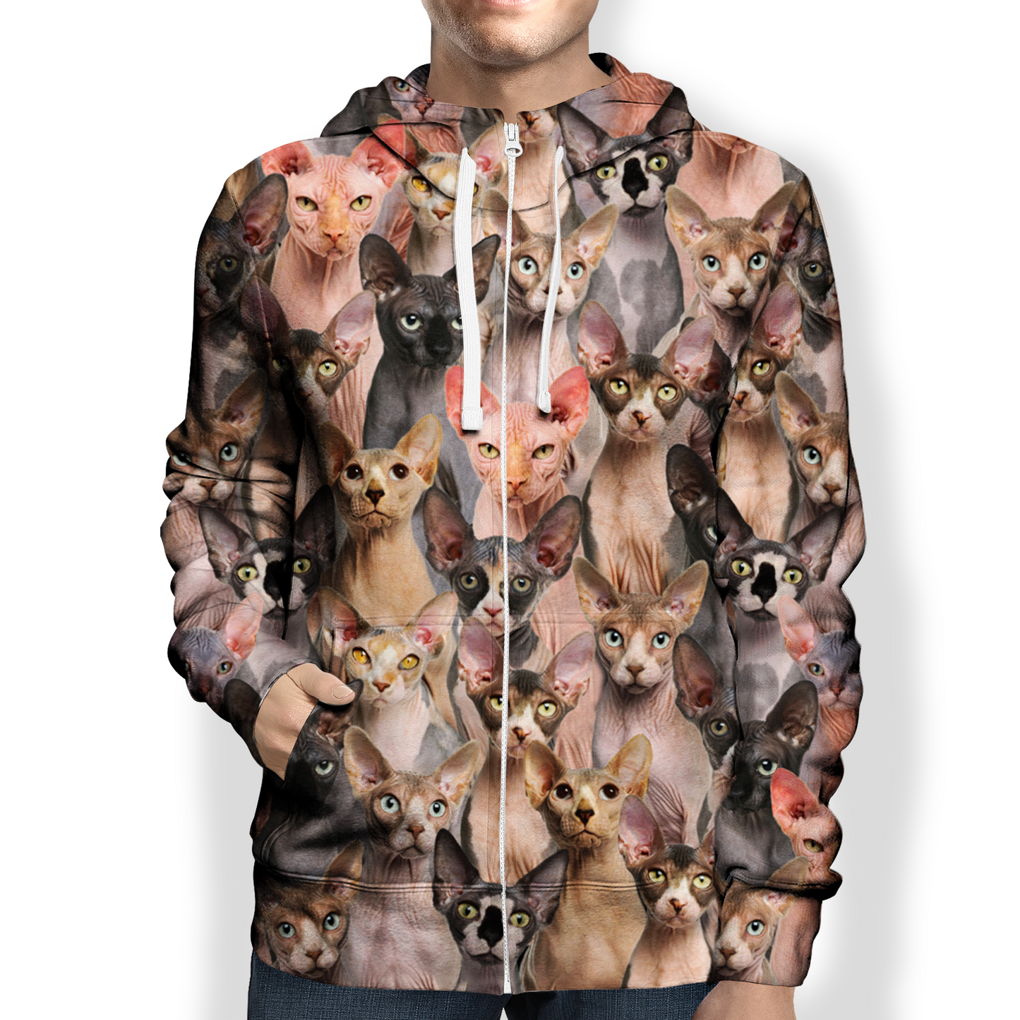 You Will Have A Bunch Of Sphynx Cats - Hoodie V1