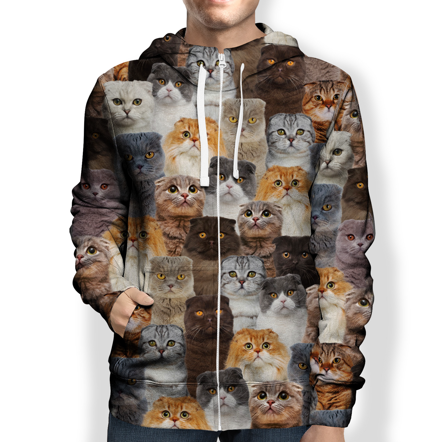You Will Have A Bunch Of Scottish Fold Cats - Hoodie V1