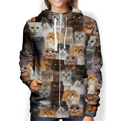 You Will Have A Bunch Of Scottish Fold Cats - Hoodie V1