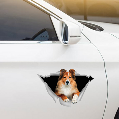 Nous aimons monter dans les voitures - Autocollant de voiture/porte/réfrigérateur/ordinateur portable Shetland Sheepdog V3