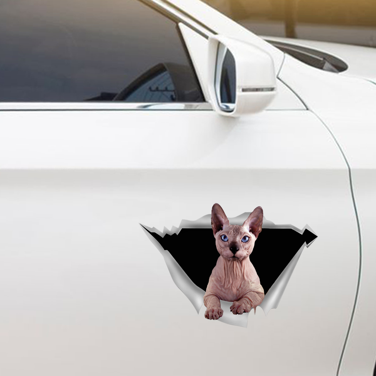 We Like Riding In Cars – Sphynx-Katze-Auto-/Tür-/Kühlschrank-/Laptop-Aufkleber V1