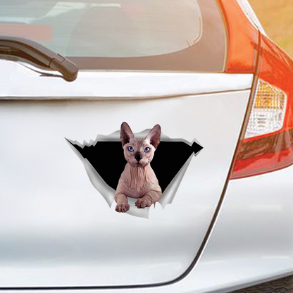 We Like Riding In Cars – Sphynx-Katze-Auto-/Tür-/Kühlschrank-/Laptop-Aufkleber V1