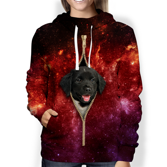 Friese Stabij Galaxy Hoodie V1