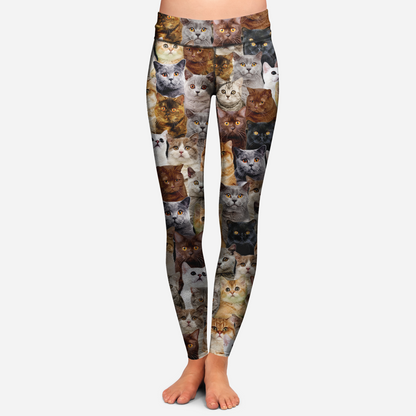 You Will Have A Bunch Of British Shorthair Cats - Leggings V1