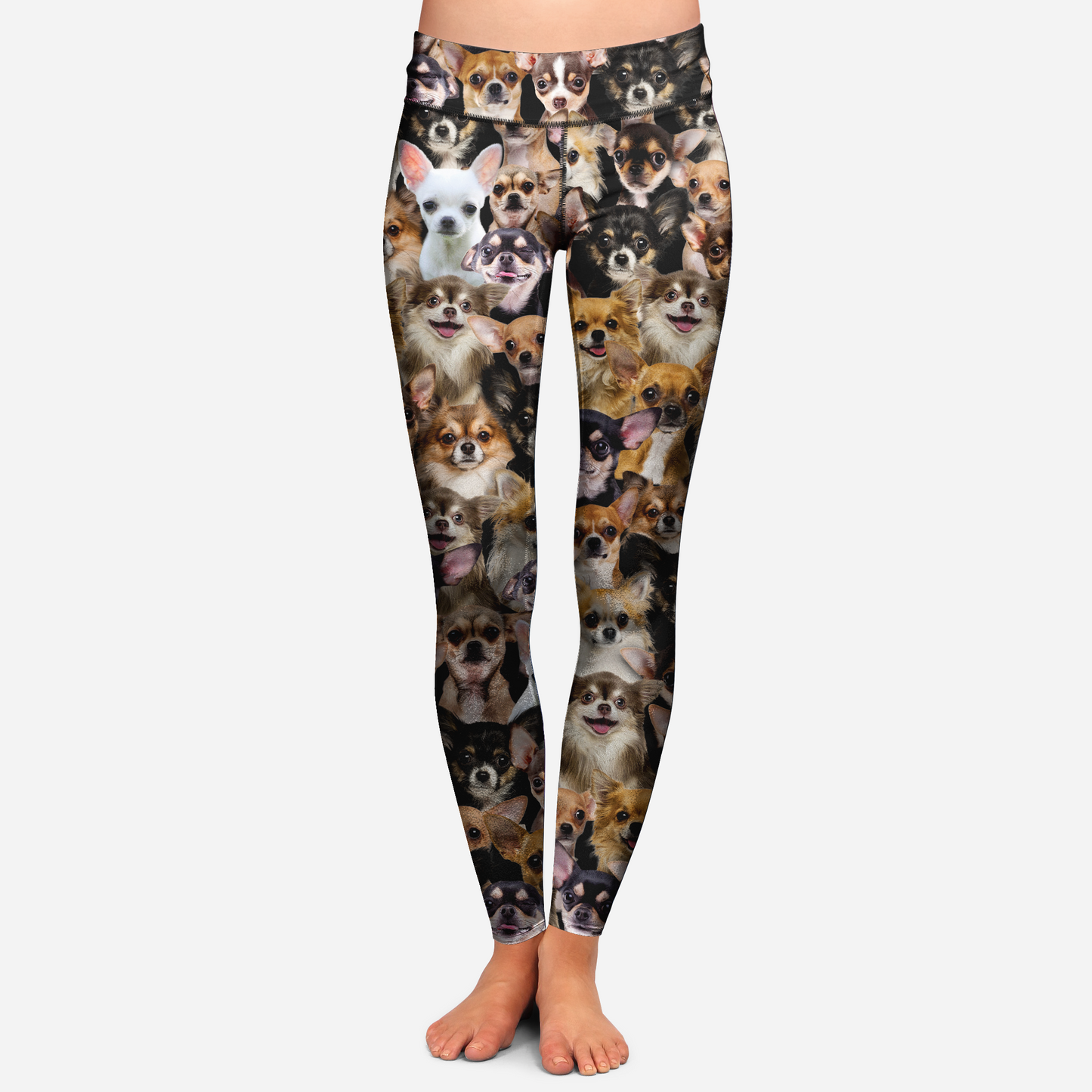 You Will Have A Bunch Of Chihuahuas - Leggings V1