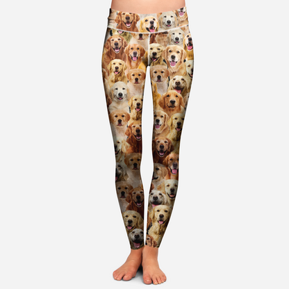 You Will Have A Bunch Of Golden Retrievers - Leggings V1