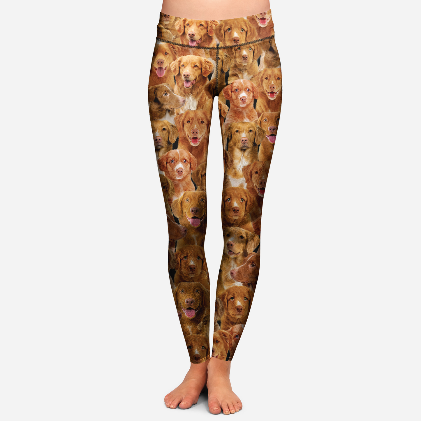 You Will Have A Bunch Of Nova Scotia Duck Tolling Retrievers - Leggings V1