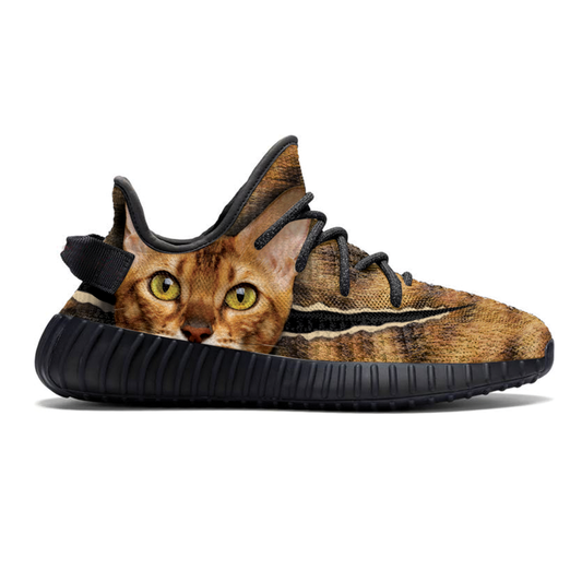 Gehen Sie mit Ihrer Bengalkatze – Sneakers V1