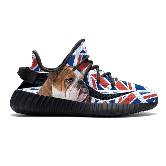 Gehen Sie mit Ihrer englischen Bulldogge – Sneakers V2