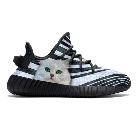 Gehen Sie mit Ihrer persischen Chinchilla-Katze – Sneakers V1