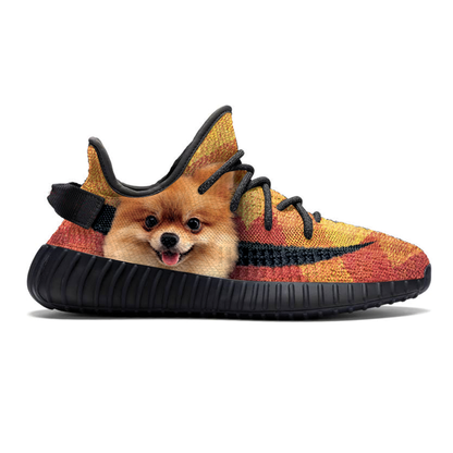Walk With Your Pomeranian - Sneakers V1