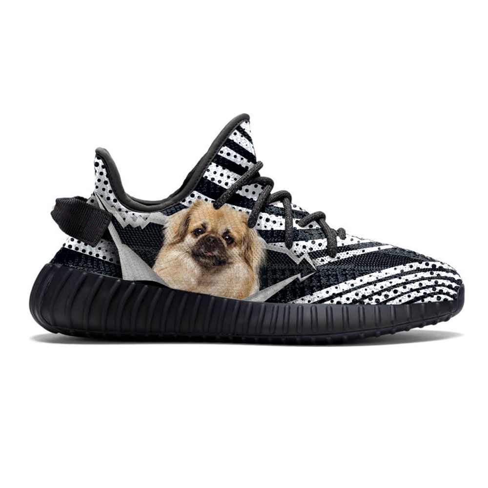 Walk With Your Tibetan Spaniel - Sneakers V1