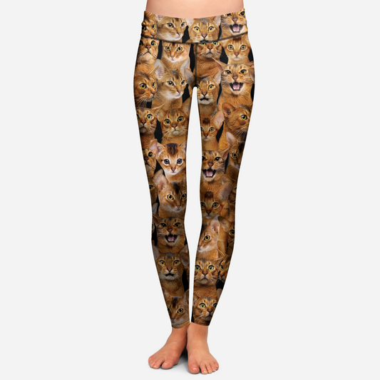 You Will Have A Bunch Of Abyssinian Cats - Leggings V1