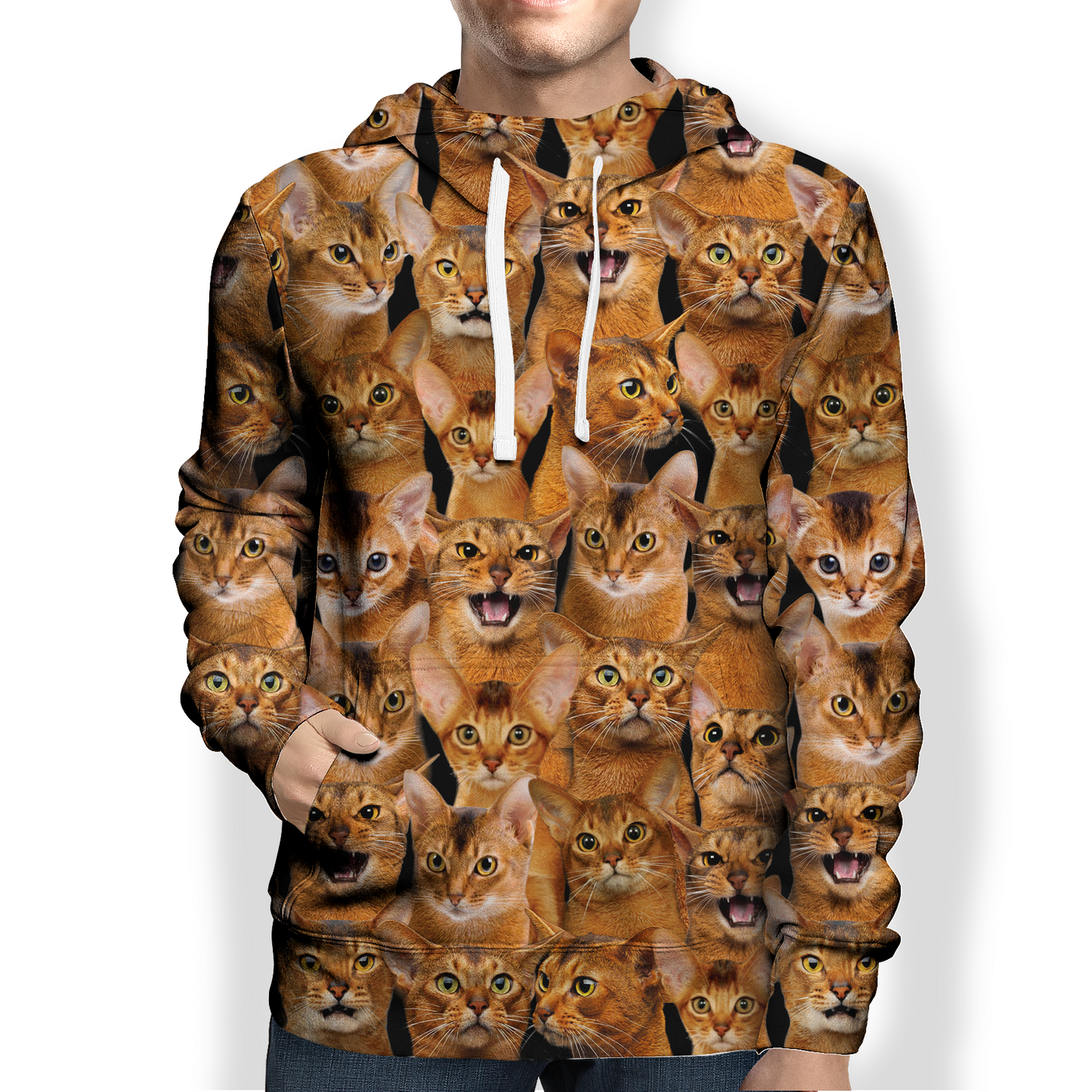 You Will Have A Bunch Of Abyssinian Cats - Hoodie V1