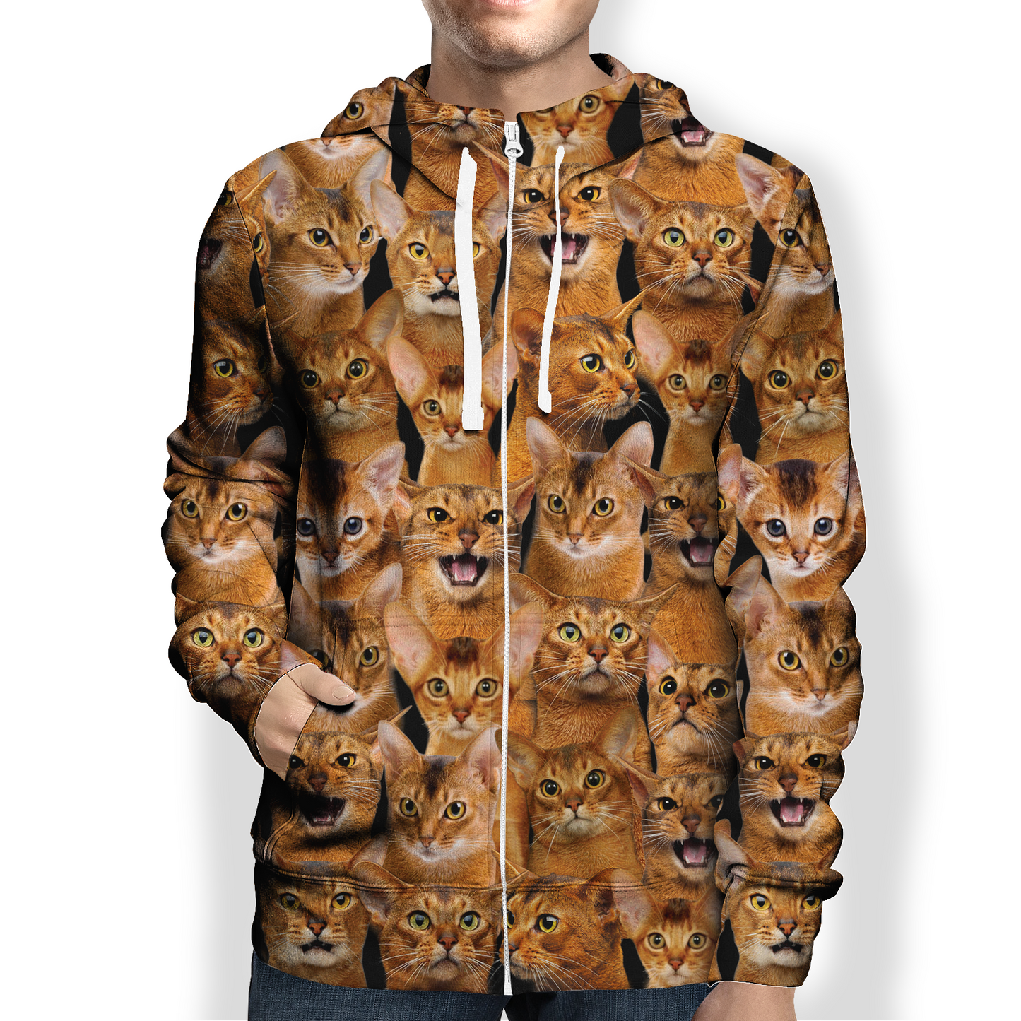 You Will Have A Bunch Of Abyssinian Cats - Hoodie V1