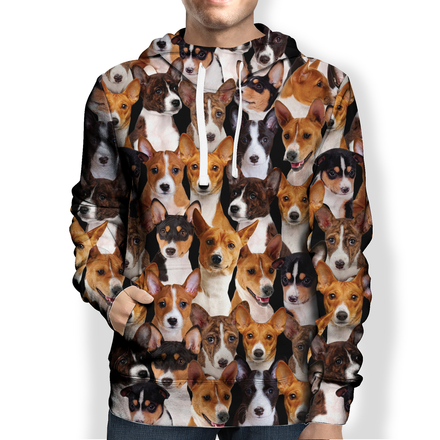 You Will Have A Bunch Of Basenjis - Hoodie V1