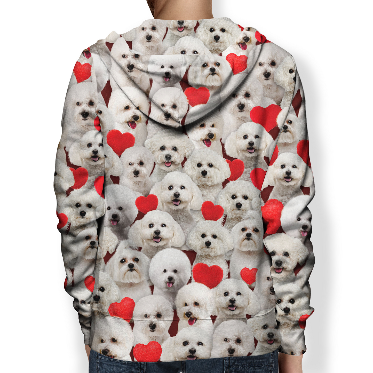 You Will Have A Bunch Of Bichon Frises - Hoodie V1
