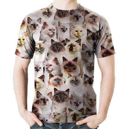 Vous aurez une bande de chats de Birmanie - T-Shirt V1