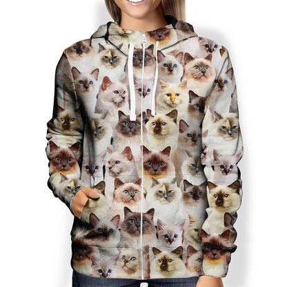 You Will Have A Bunch Of Birman Cats - Hoodie V1