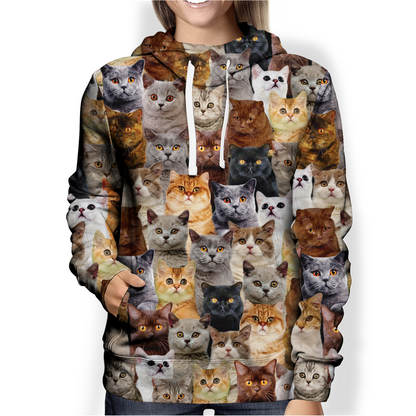 You Will Have A Bunch Of British Shorthair Cats - Hoodie V1