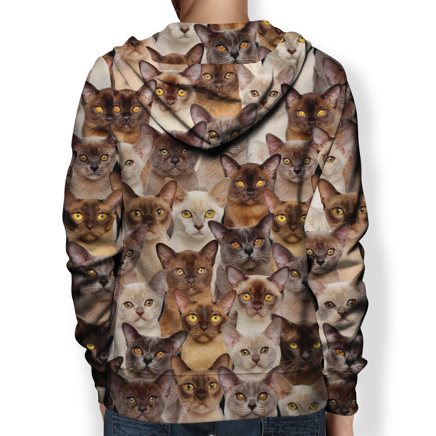 You Will Have A Bunch Of Burmese Cats - Hoodie V1