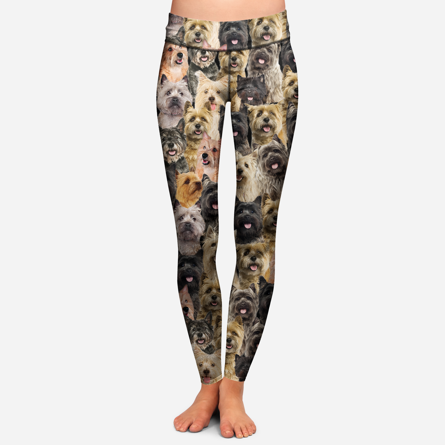 You Will Have A Bunch Of Cairn Terriers - Leggings V1