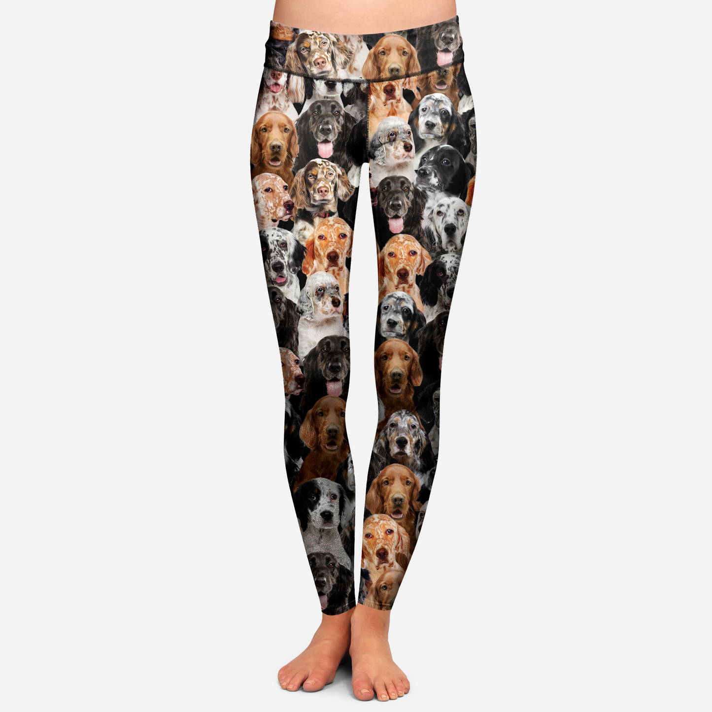 You Will Have A Bunch Of English Setters - Leggings V1