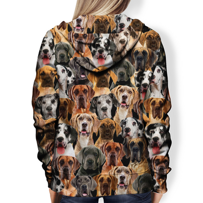You Will Have A Bunch Of Great Danes - Hoodie V1
