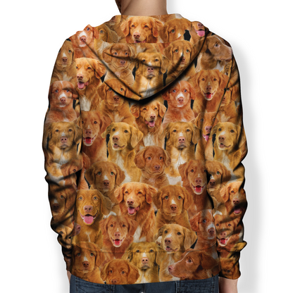 You Will Have A Bunch Of Nova Scotia Duck Tolling Retrievers - Hoodie V1