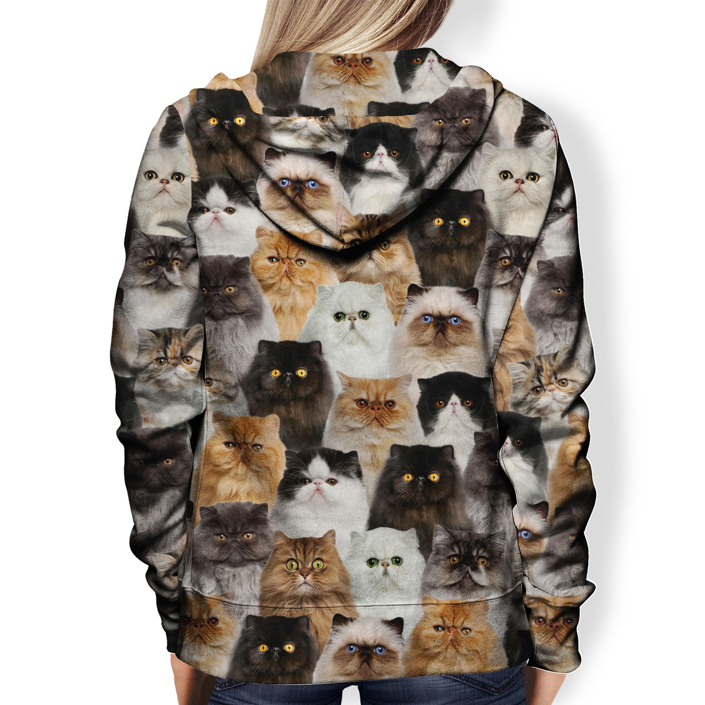 You Will Have A Bunch Of Persian Cats - Hoodie V1