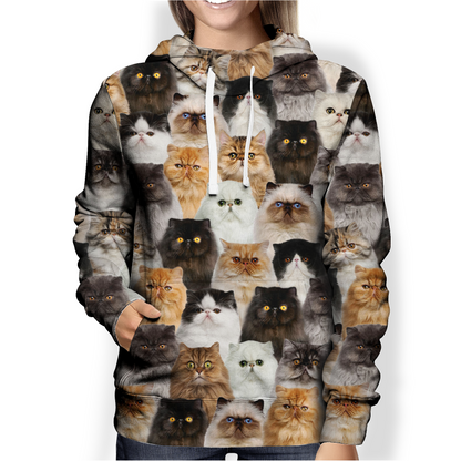 You Will Have A Bunch Of Persian Cats - Hoodie V1