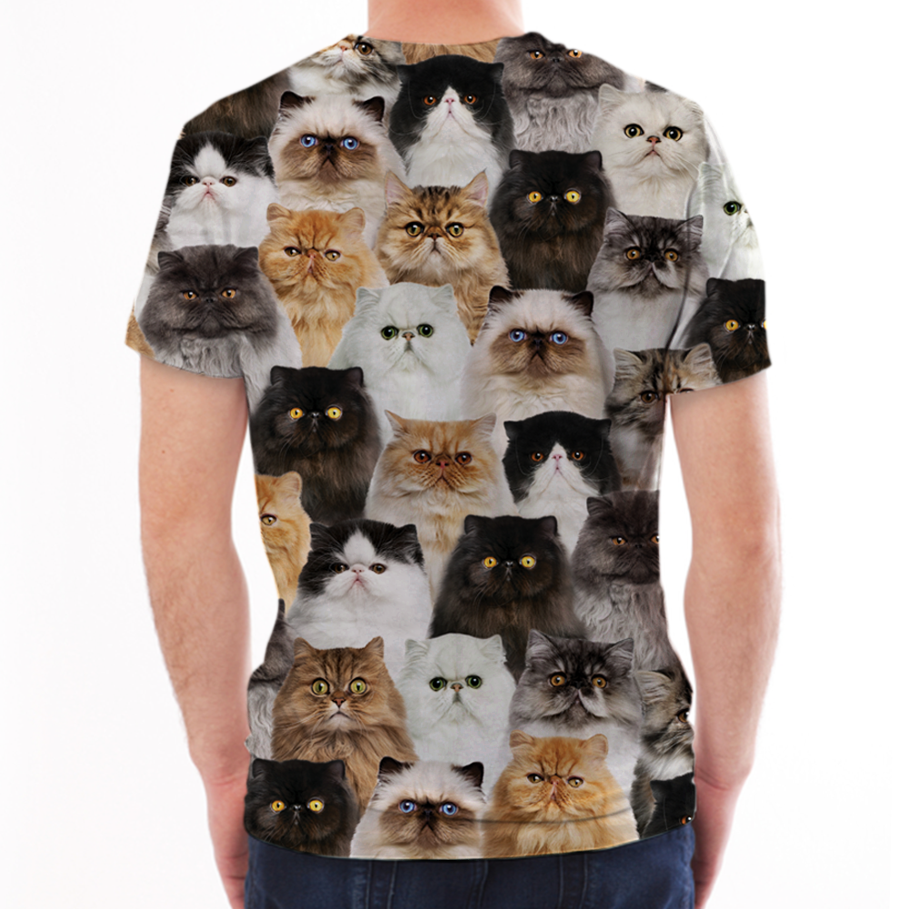 Vous aurez une bande de chats persans - T-Shirt V1