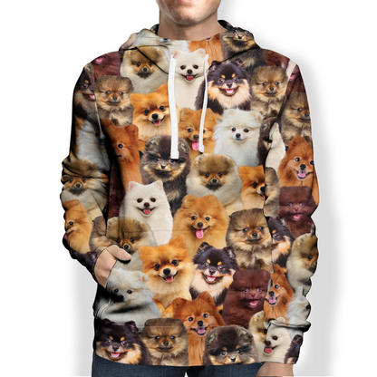You Will Have A Bunch Of Pomeranians - Hoodie V1