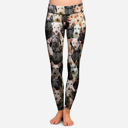 You Will Have A Bunch Of Scottish Terriers - Leggings V1