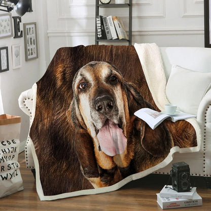 Bloodhound Blanket V1