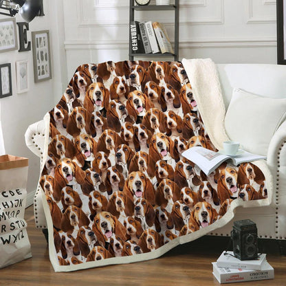 You Will Have A Bunch Of Basset Hounds - Blanket V2