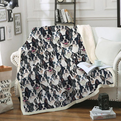 You Will Have A Bunch Of Boston Terriers - Blanket V2